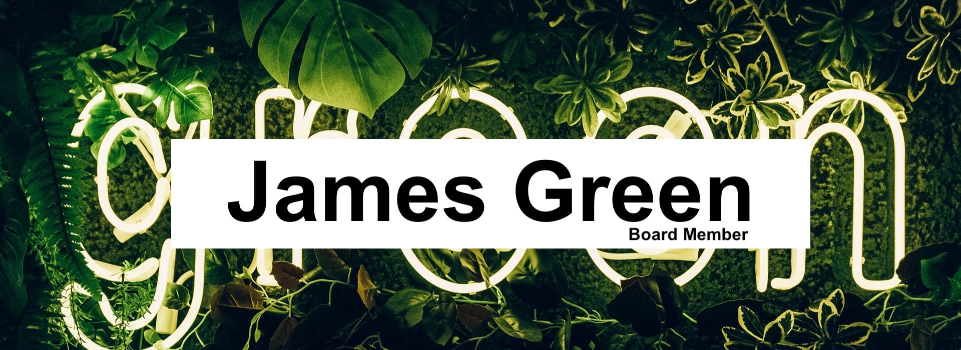 James Green Board Member graphic